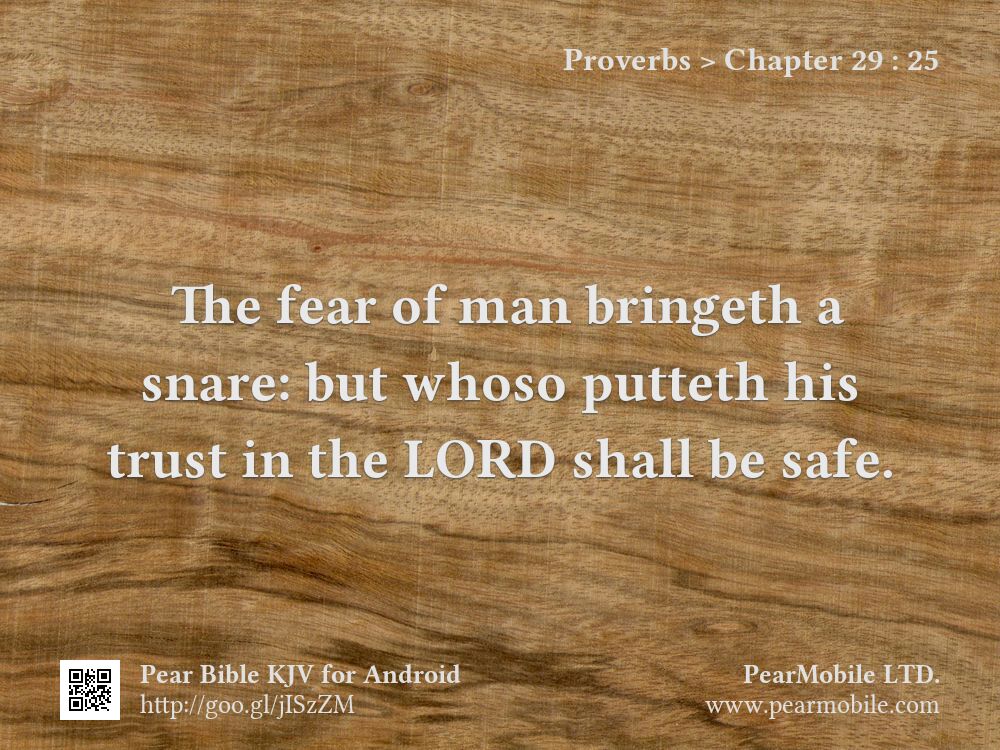 Proverbs, Chapter 29:25